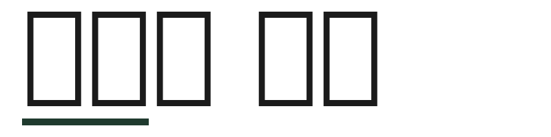 하우스 서울 logo